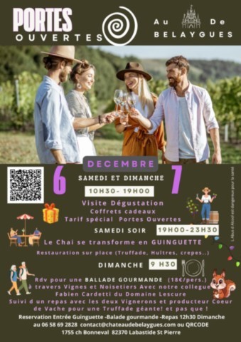 Week-end portes ouvertes chez les vignerons du frontonnais