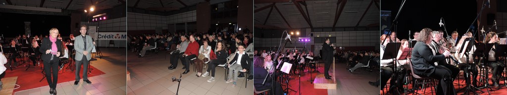 Concert Musiques en vignes du 19/2/16 à Fronton 