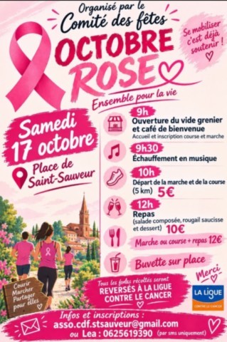 ST SAUVEUR : Vide-greniers le 17/10