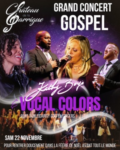 VILLEMUR sur TARN : Concert le 22/11