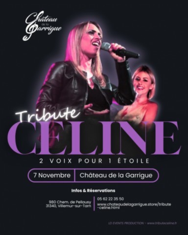 VILLEMUR sur TARN : Concert le 7/11