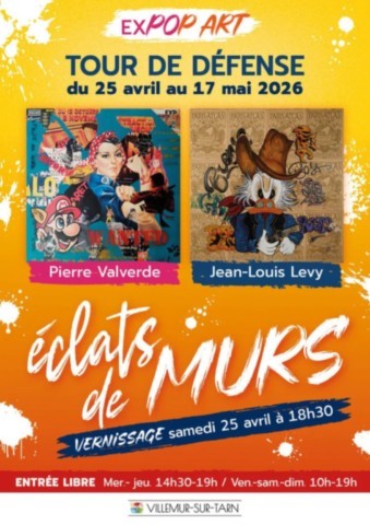 VILLEMUR sur TARN : Exposition Pop Art du 25/4 au 17/5