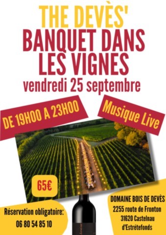 CASTELNAU : Banquet dans les vignes 25/9