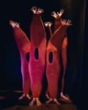 BRUGUIERES : Spectacle le 15/3